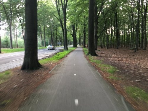 This photo was taken during a ride through the forest near Hilversum. The nearby trees really give you a sense of speed (and reason to stay focussed on steering straight...)