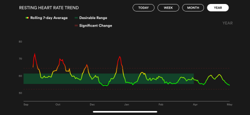 Resting heart rate no longer has any red spikes - relatively stable since I stopped drinking beer