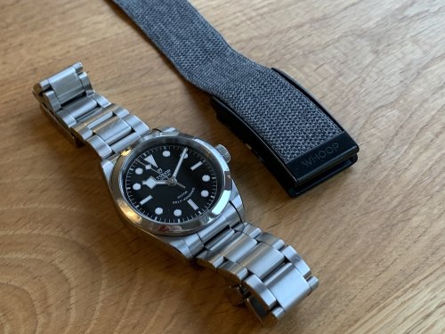 WHOOP is about the same size as a regular watch (Tudor Black Bay 36MM)