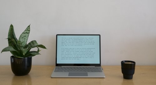 A plant, a laptop, some coffee