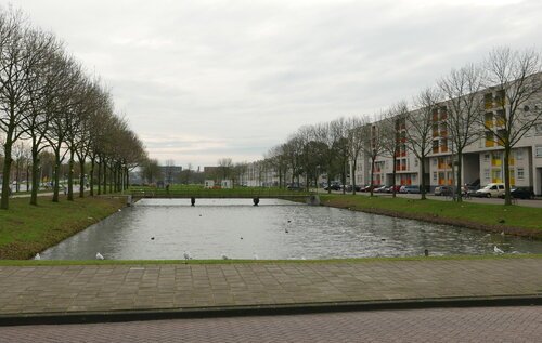 The neighbourhood has lots of water and green