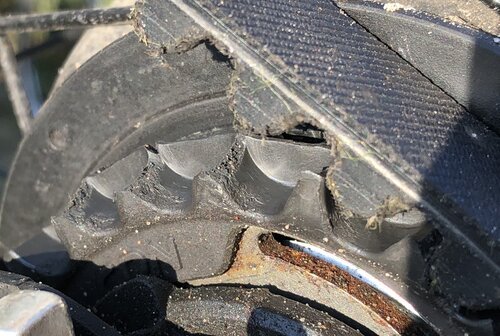 Gates Carbon Drive rear sprocket showing excessive wear after just 1800KM