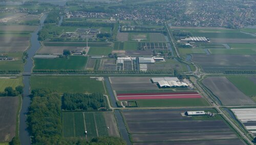 Fields with flowers can easily be seen from above!