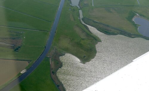 Westerkolk reflecting the sun light at Texel