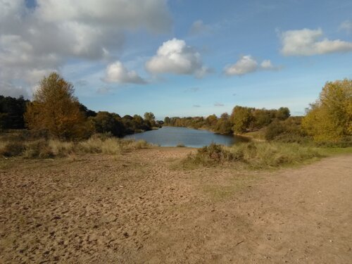 Landscape photo taken at the Amsterdamse Waterleidingduinen with the Nokia 2