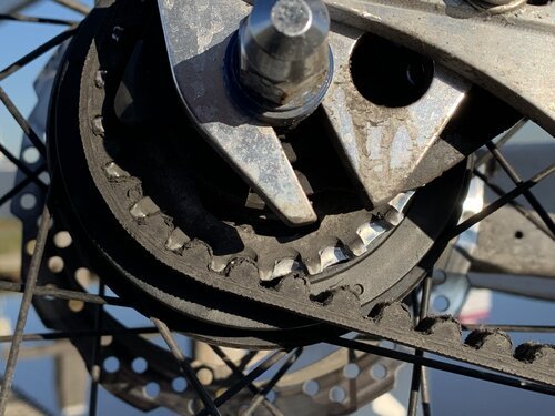 Gates Carbon Drive CDX rear sprocket after 6000KM / 12 months, a little dusty but still fine!