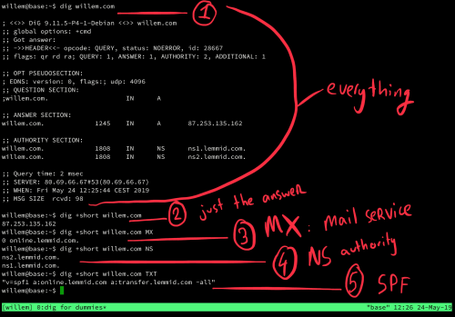 Using dig to get information about a domain name, willem.com