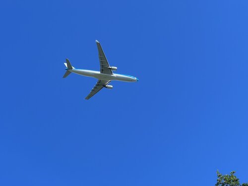 Nearby planes make good subjects for closeup photos, but their continuous noisy presence can be annoying, too