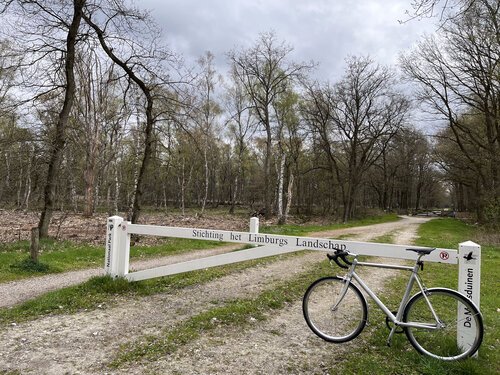 Maasduinen National Park in Limburg