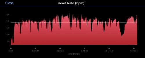 My heart rate during the 10 hour ride from Amsterdam to Hegelsom: note how I kept my heart rate relatively low during the first few hours!