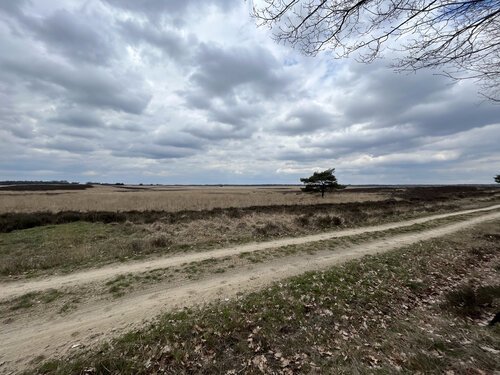 You're amazed by the things you'll encounter - like the beauty of the Dutch National Park Hoge Veluwe...