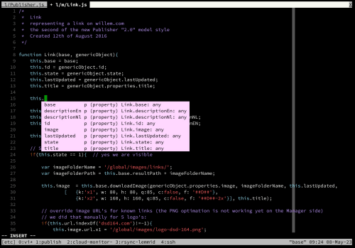 Programming on iPad Pro using Blink, tmux and VIM over Mosh (in a remote VPS)