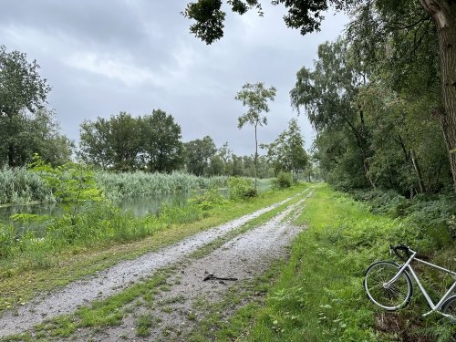 Nature in Limburg: De Peel