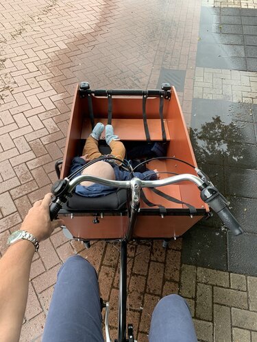Ein glücklicher Passagier im Babboe Big