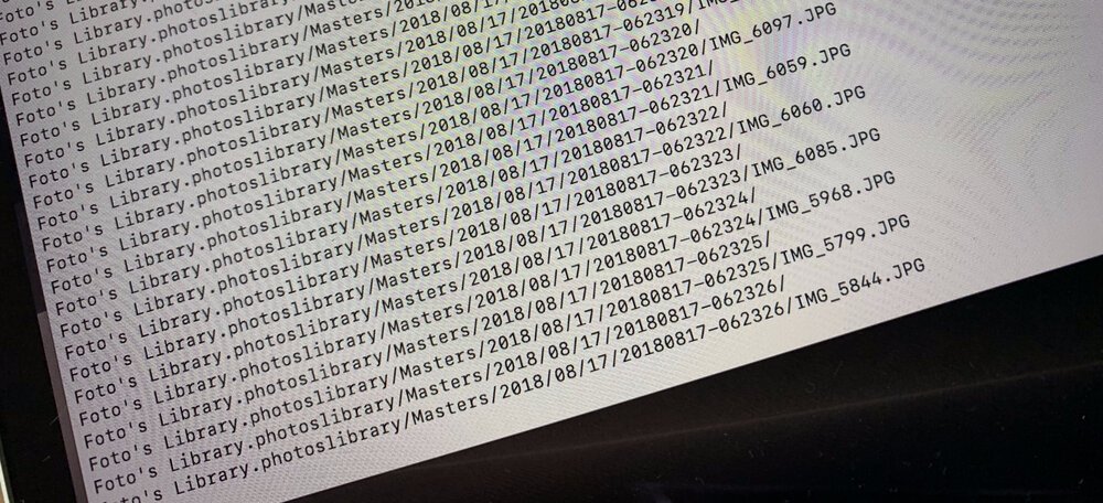 Letztendlich konnte ich alle anderen Fotos retten!