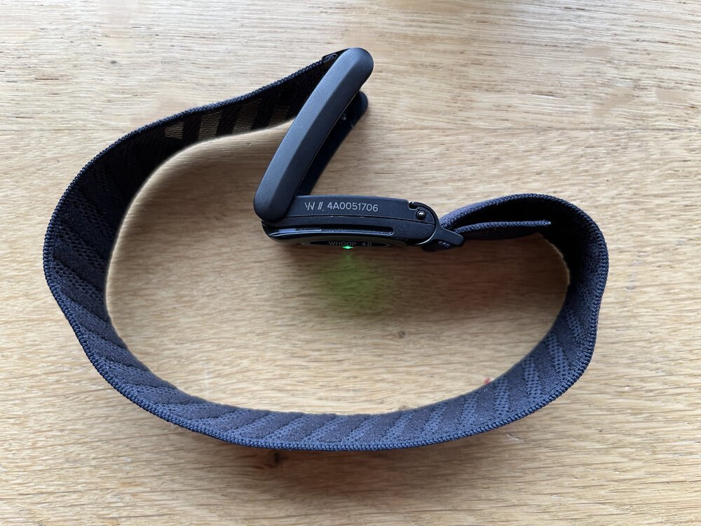WHOOP bietet Ihnen verschiedene Tragemöglichkeiten - ich trage meinen gerne am Bizeps mit einem größeren Armband - und wechsle alle paar Tage zwischen meinen beiden Armen