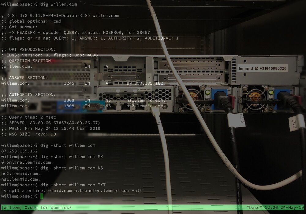 Das dig-Kommando zum Abfragen von DNS-Einträgen im Terminal