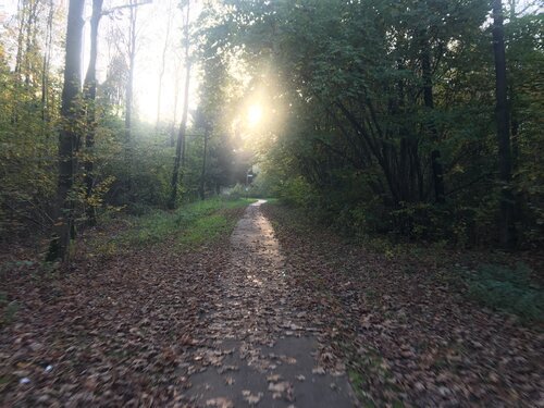 During autumn the days became shorter and many rides where done during dusk or dawn. It's nice to see the sun come up or go down.
