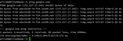 Averaging 3.4 milliseconds in pinging Google. That's fast, datacenter fast.