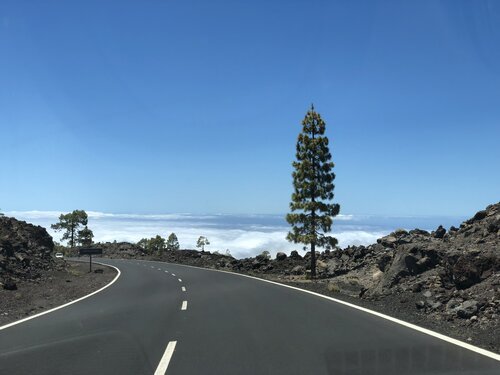 Driving above the clouds