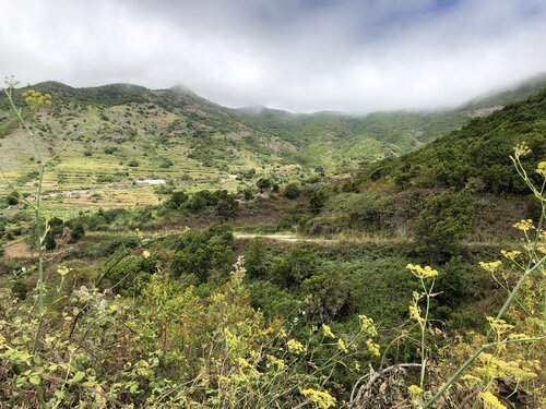Under the clouds the landscape is green, full of life