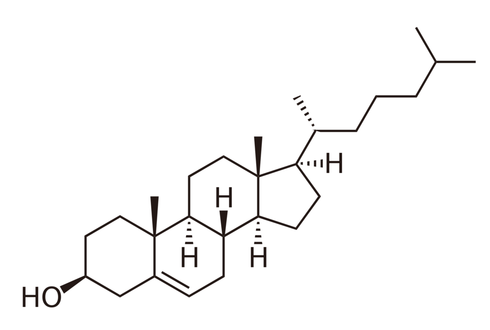 Chemical structure of Cholesterol