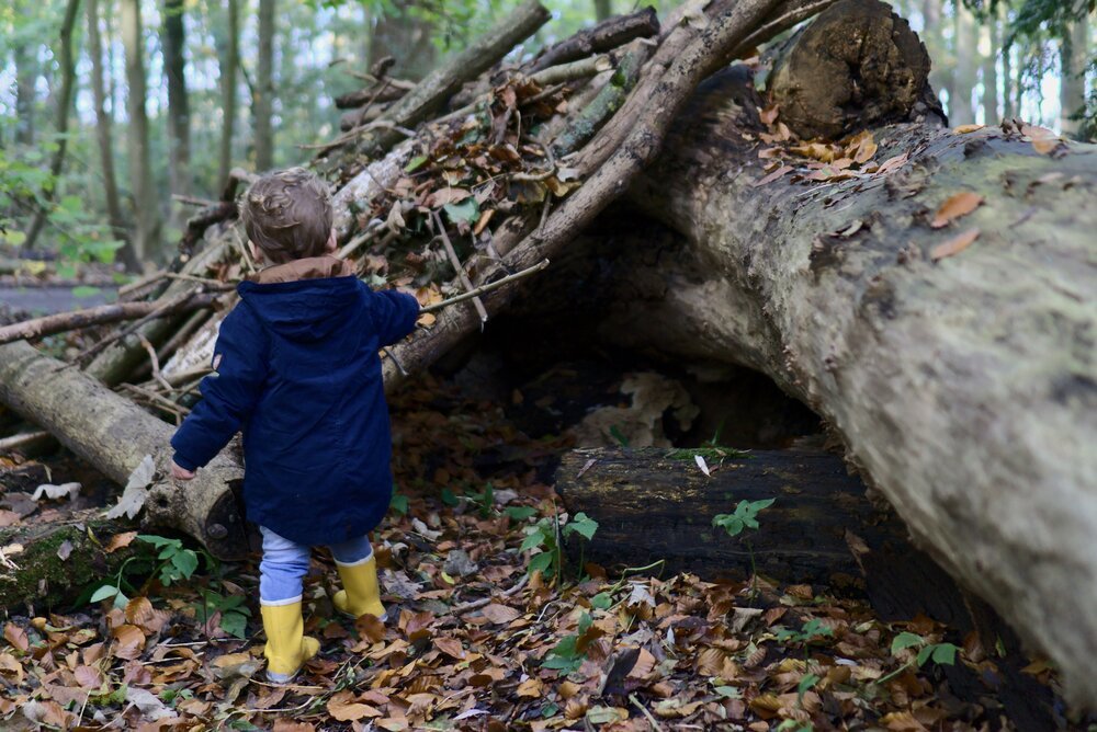 Looking for bears... in the local park - priceless adventure!