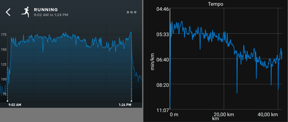 My pace and heartrate during the marathon; despite slowing down due to the heat, my heartrate stayed high