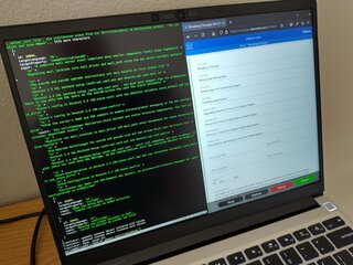 The Agentic Web
