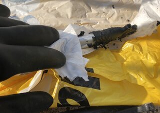 How to Remove Paint from a Bike Frame