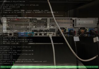 Using dig to Query DNS — A Beginner's Guide
