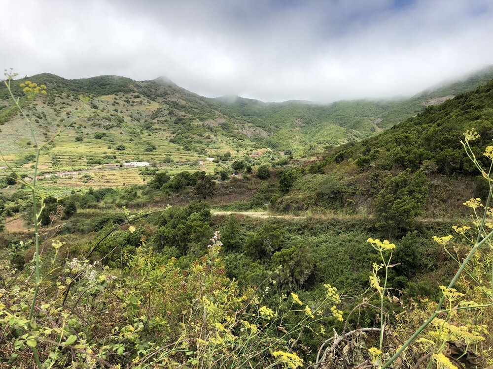 Bajo las nubes el paisaje es verde, lleno de vida