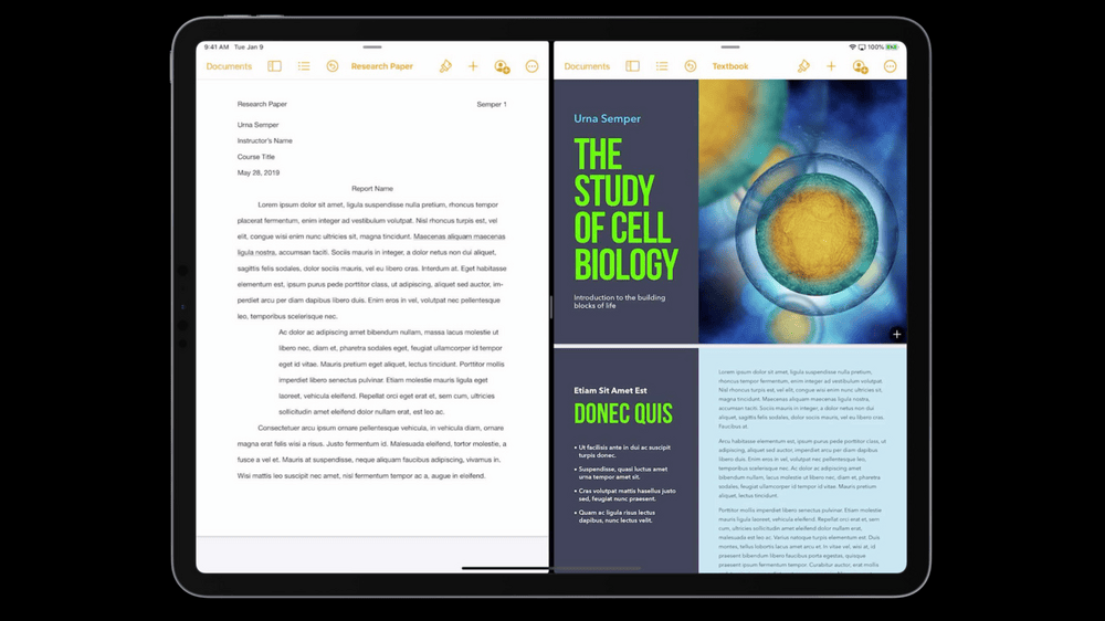 Soporte para múltiples ventanas en iPad, ejecutando dos instancias de la misma aplicación a la vez