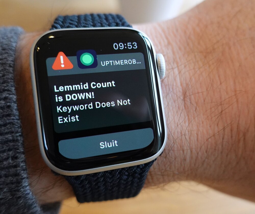 UptimeRobot es el único algoritmo que permito que me despierte por la noche