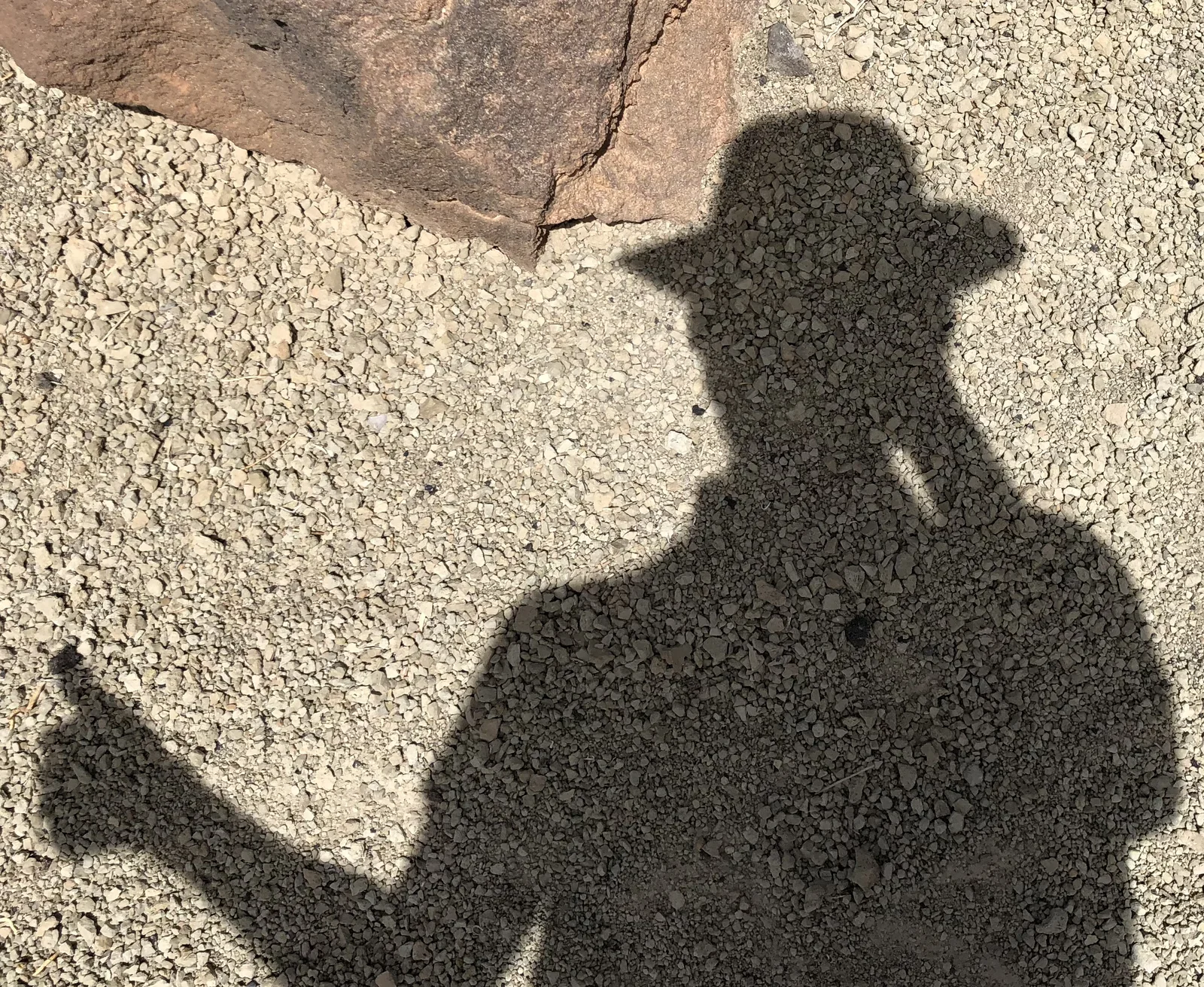 Shadow of a Martian... of sorts :-)