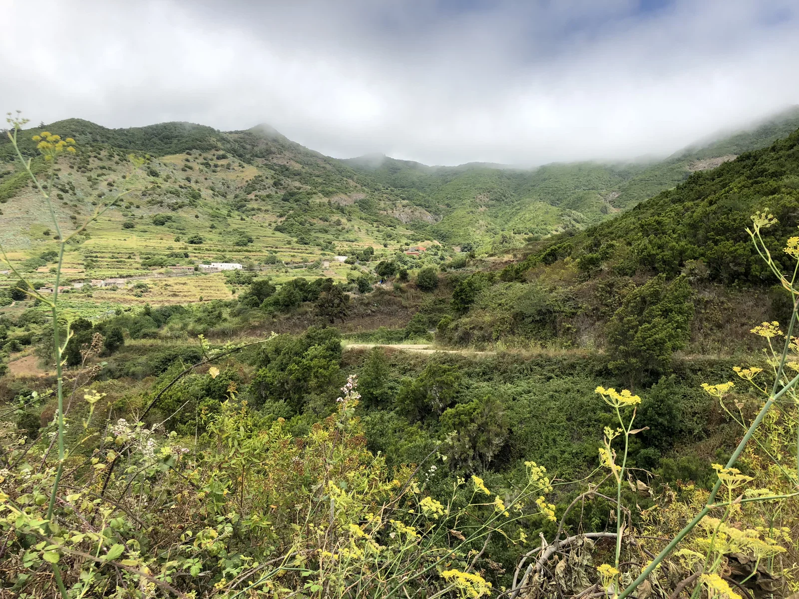 Under the clouds the landscape is green, full of life