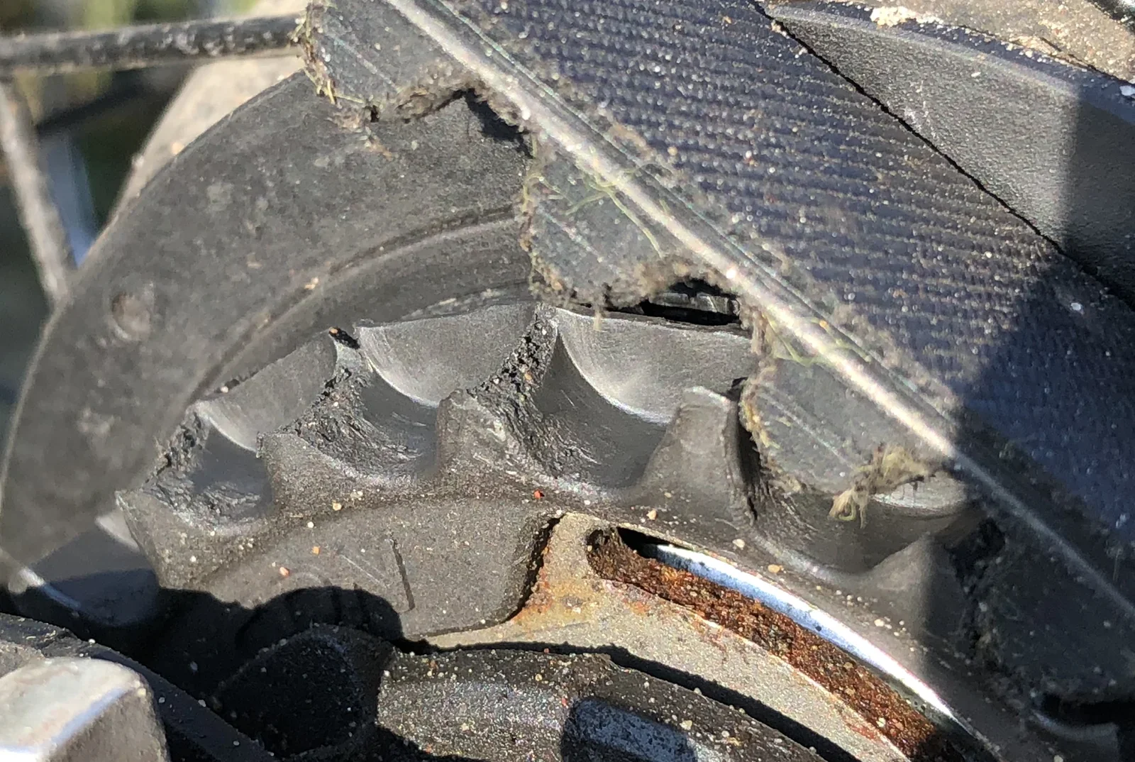Gates Carbon Drive rear sprocket showing excessive wear after just 1800KM