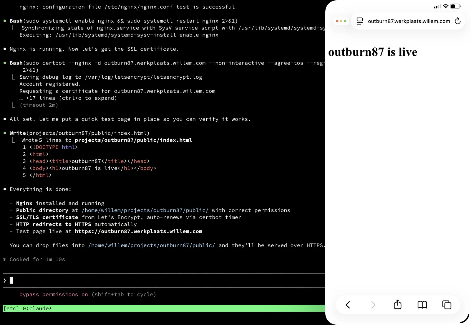 Root access as ultimate flex: the agent installs nginx, arranges an SSL certificate and puts its own test page live