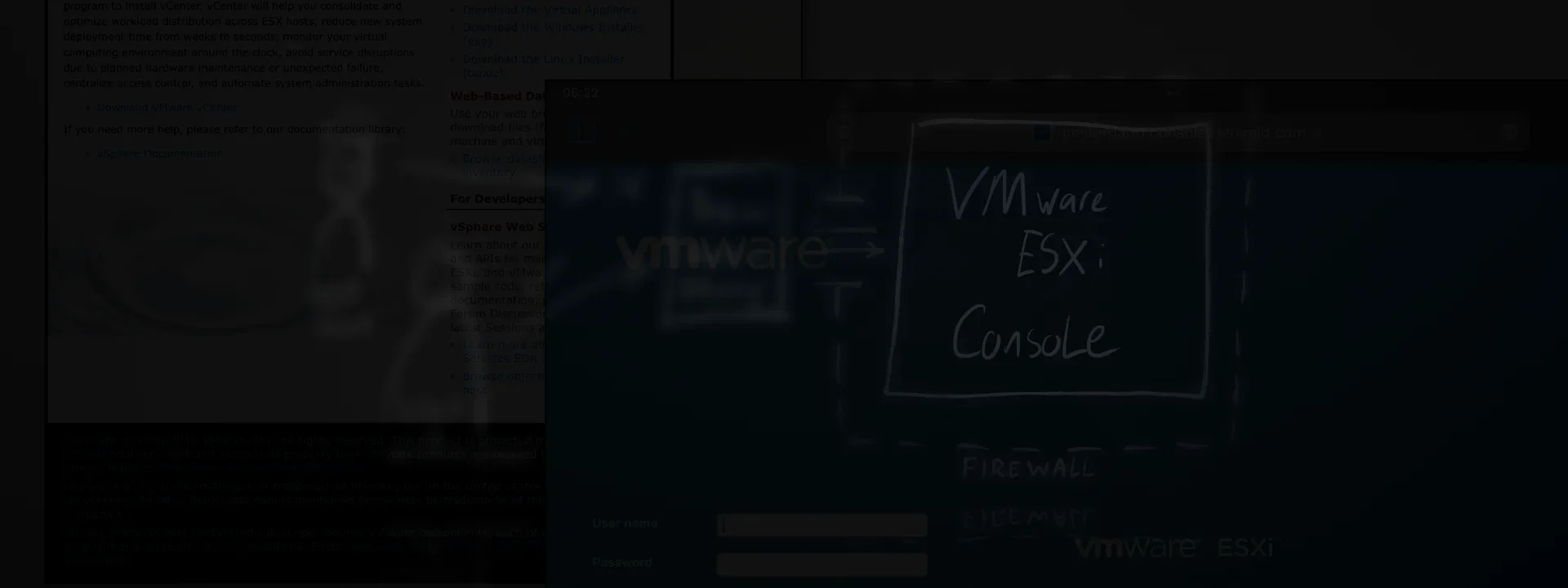 Protecting VMware ESXi