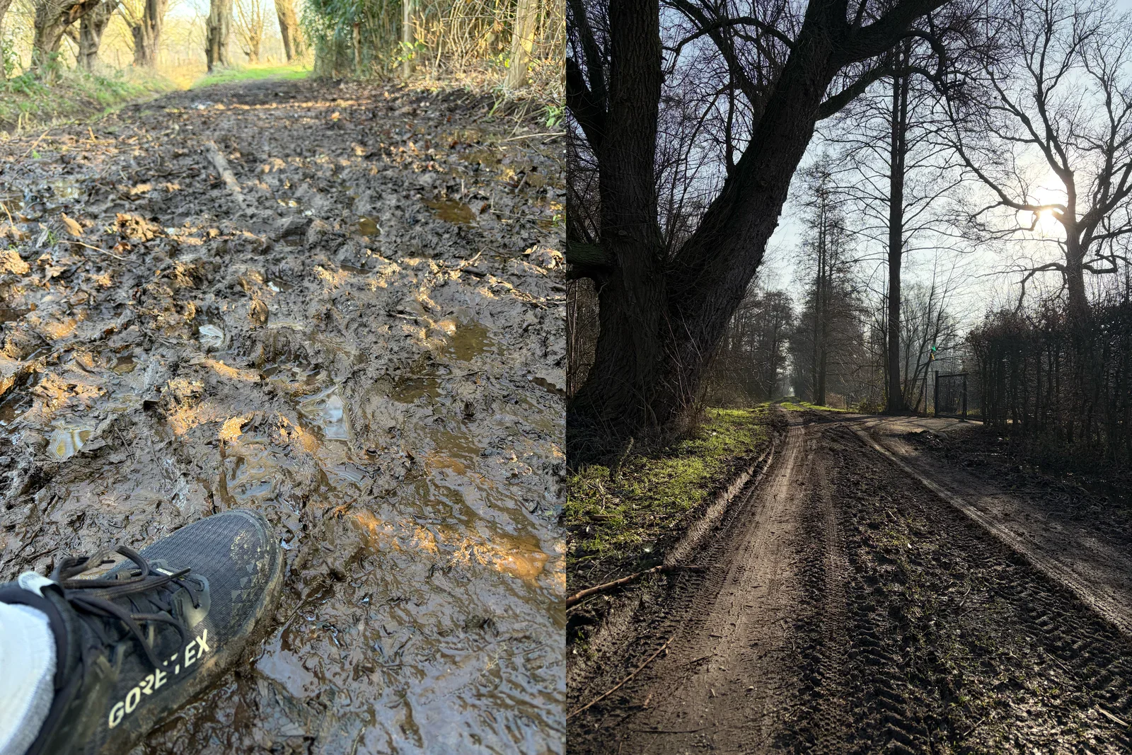 Testing the new Asics Trabuco 13 GTX shoes in proper Limburg mud