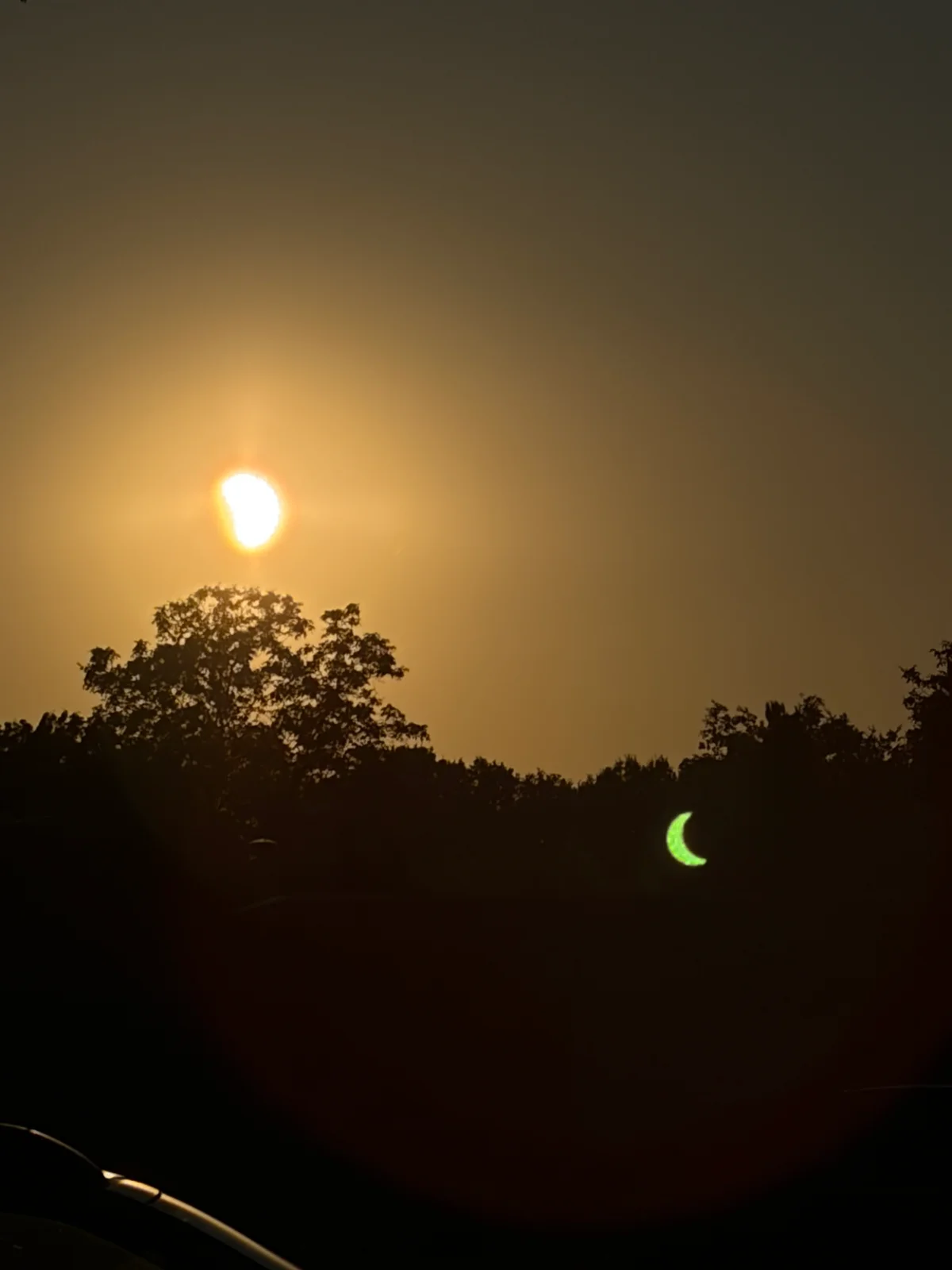The partial eclipse over the trees on 12 August, an evening walk in the busiest week of the month
