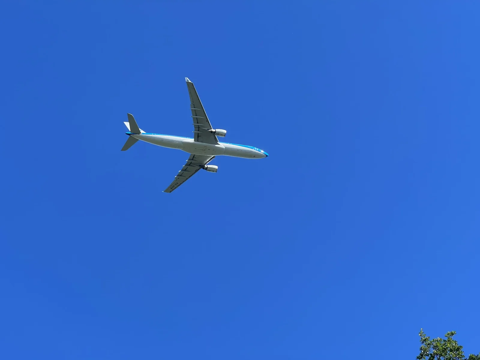 Nearby planes make good subjects for closeup photos, but their continuous noisy presence can be annoying, too