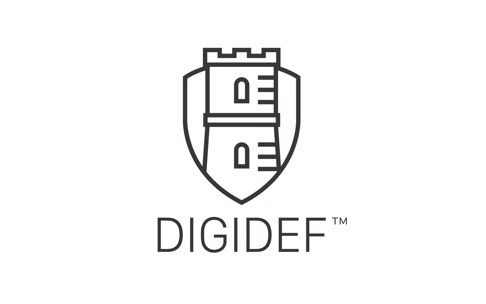 DigiDef, consultancy bureau for digital defence, 2015 to 2019