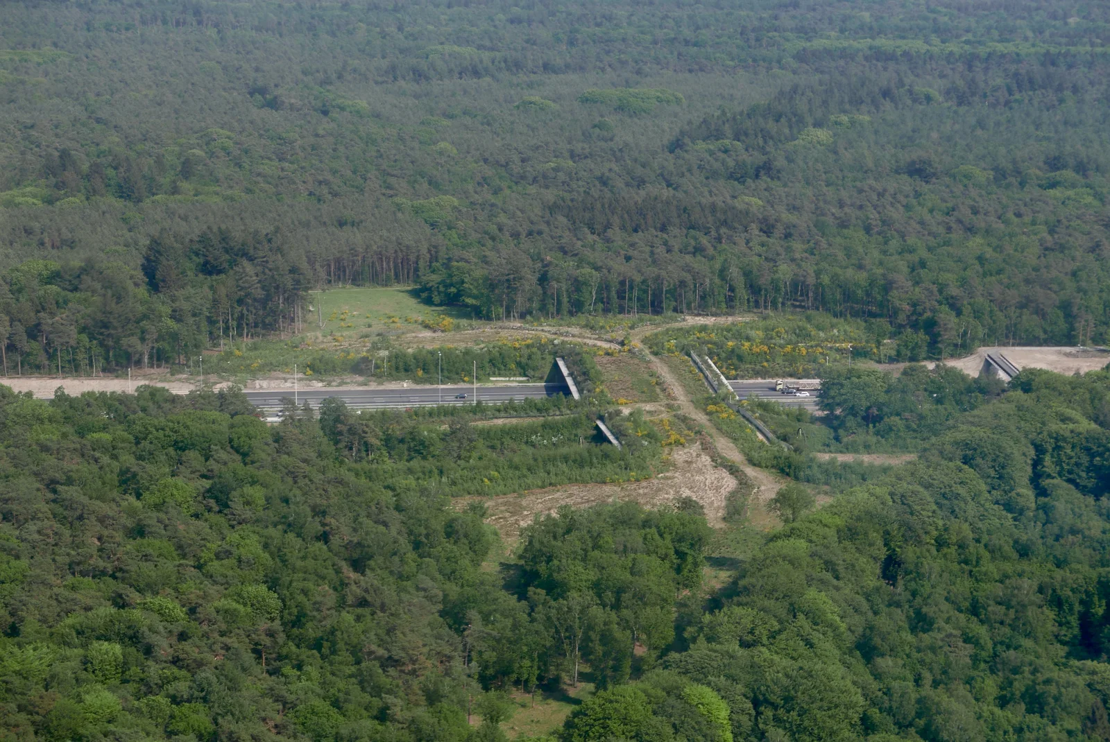 Ecoduct "Natuurbrug Zwaluwenberg" over the A27 near Hilversum