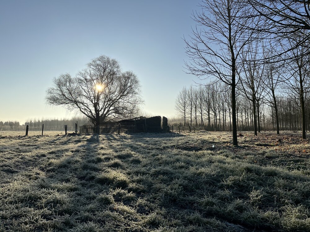 De adembenemende pracht van Moeder Natuur, op slechts een steenworp afstand van onze nieuwe voordeur