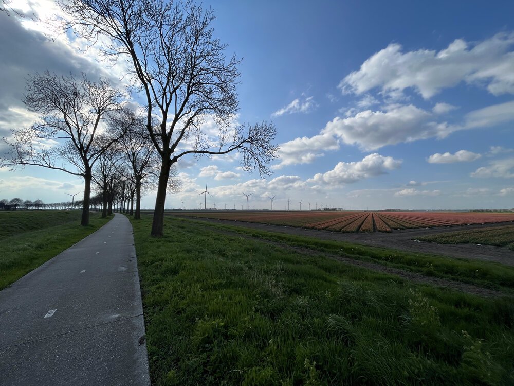 Bloemen uit Amsterdam... geteeld in Flevoland!