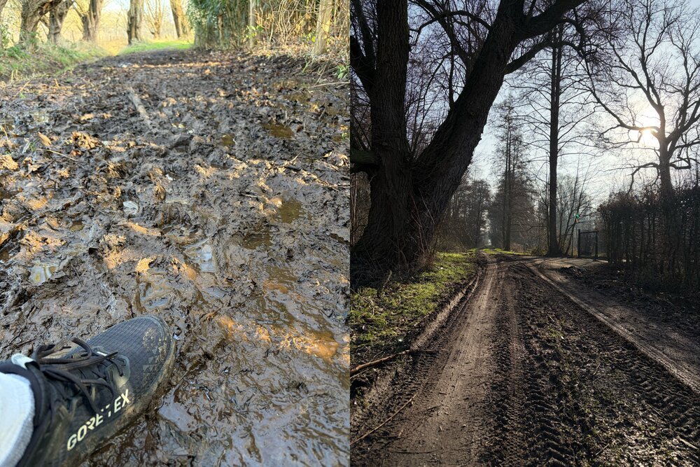 De nieuwe Asics Trabuco 13 GTX getest in échte Limburgse modder